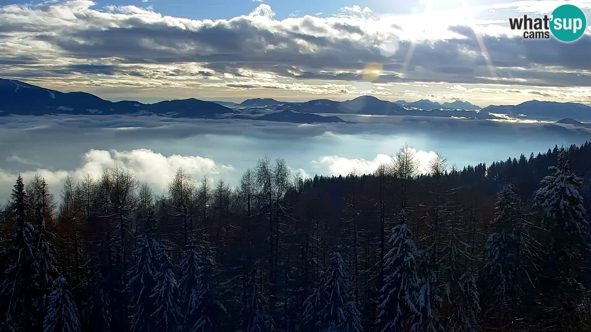 Webcam Kapunar – Radlje ob Dravi