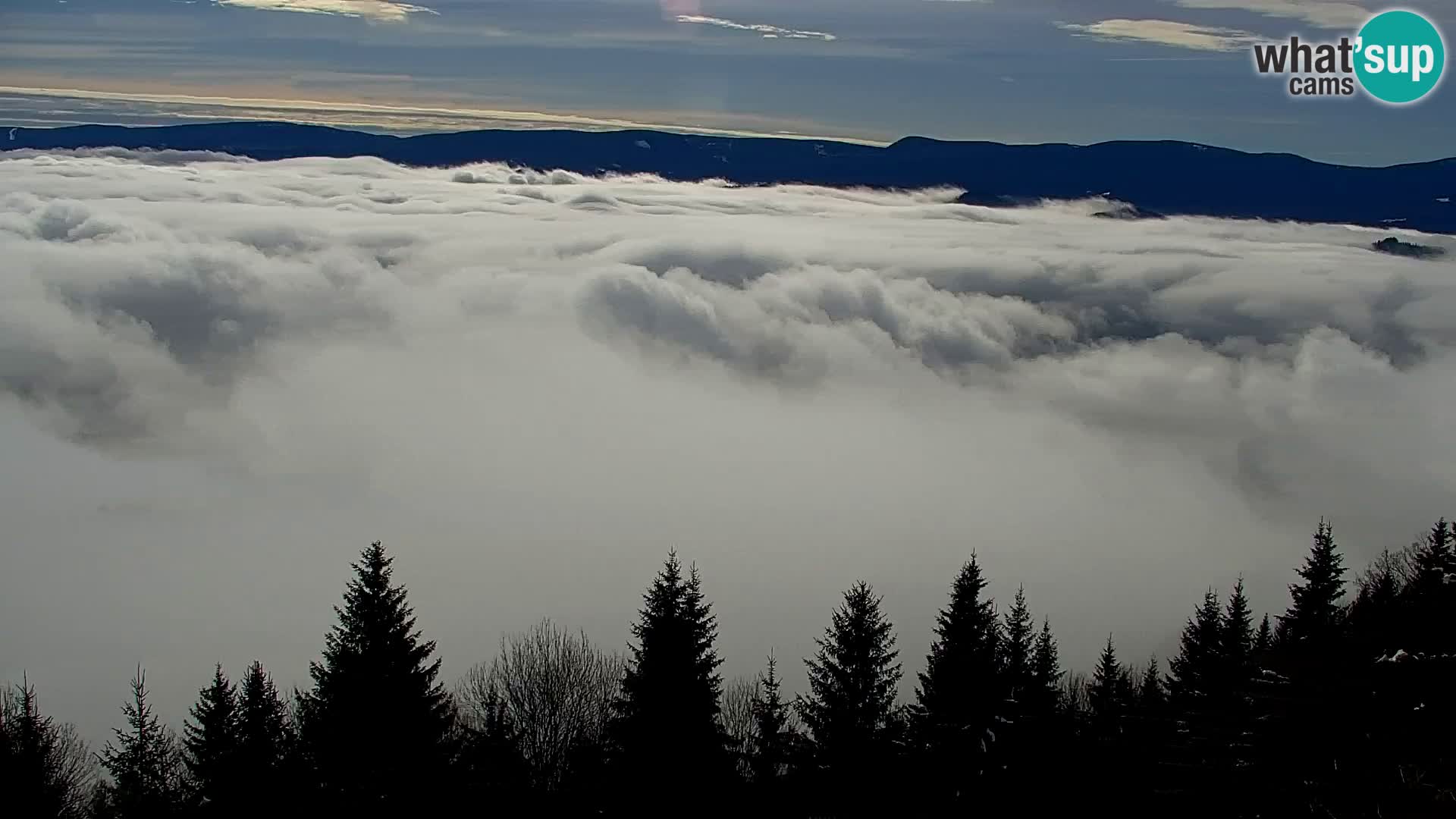 Kapunar Webcam – Radlje ob Dravi