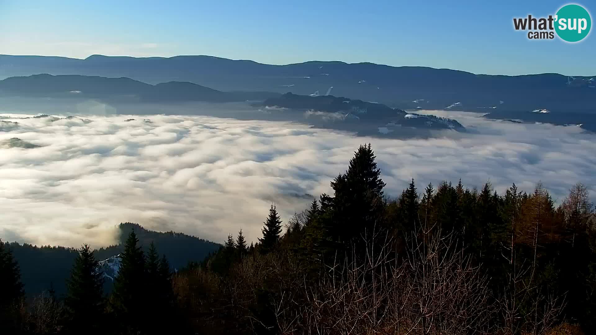 Webcam Kapunar – Radlje ob Dravi