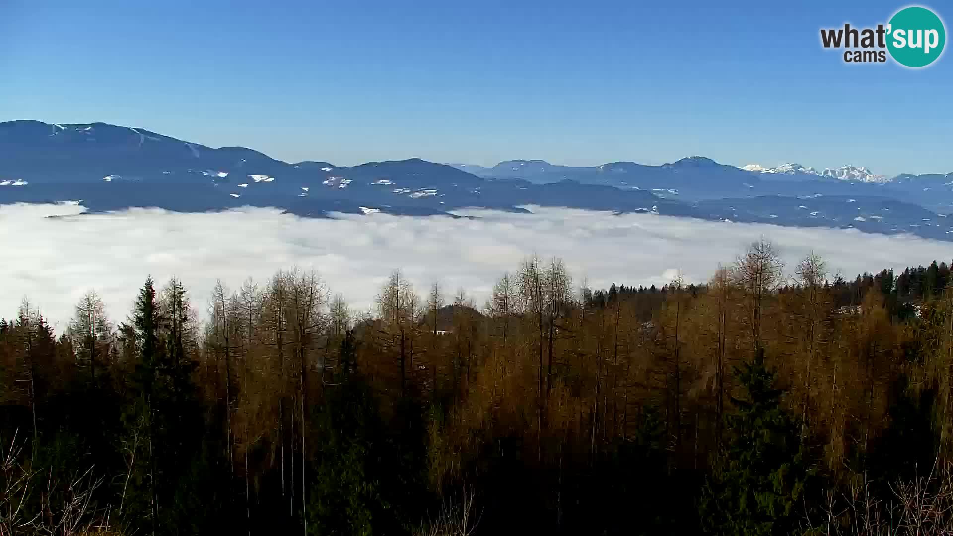 Kapunar Webcam – Radlje ob Dravi