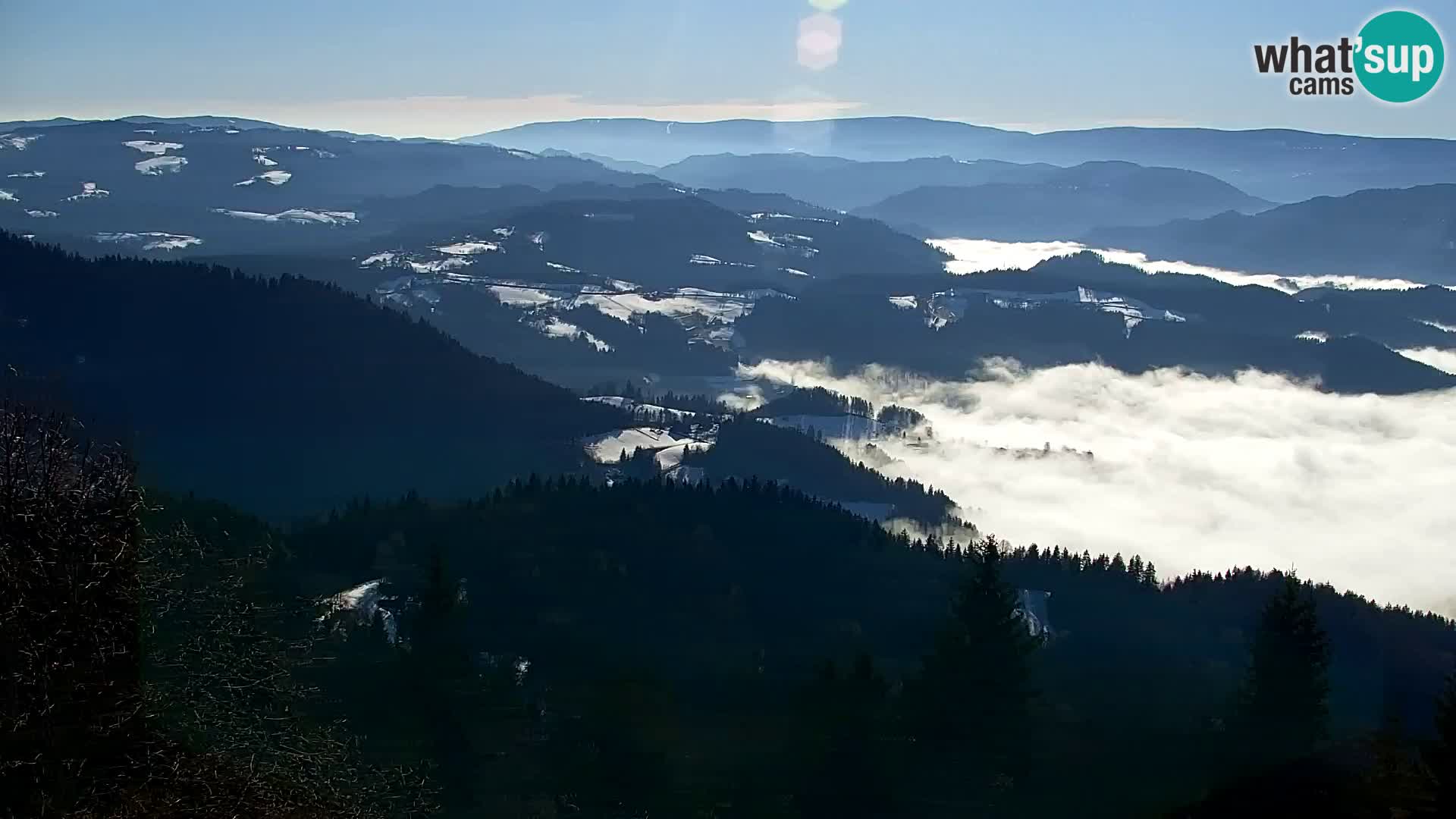 Kapunar Webcam – Radlje ob Dravi