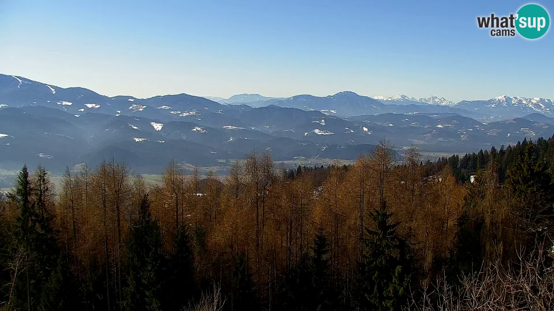 Webcam Kapunar – Radlje ob Dravi