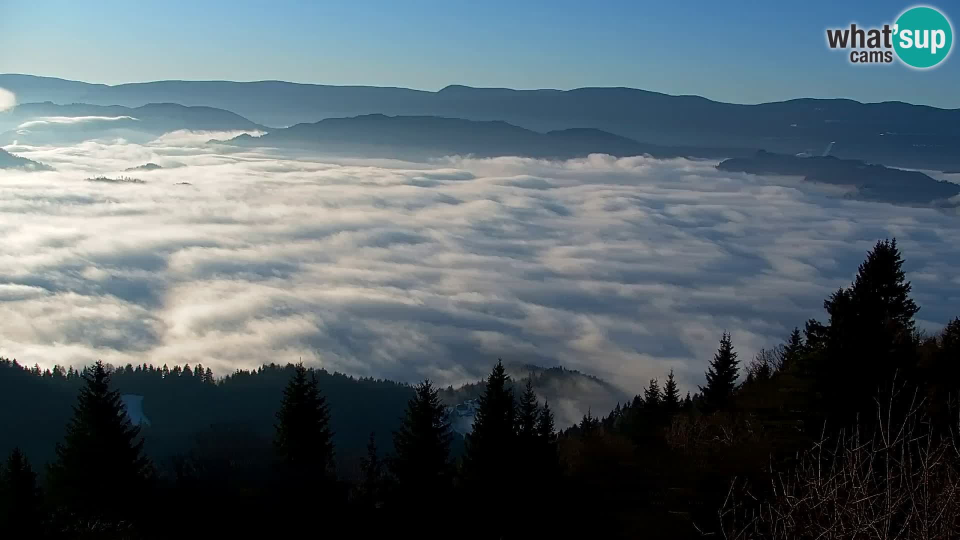 Kapunar Webcam – Radlje ob Dravi
