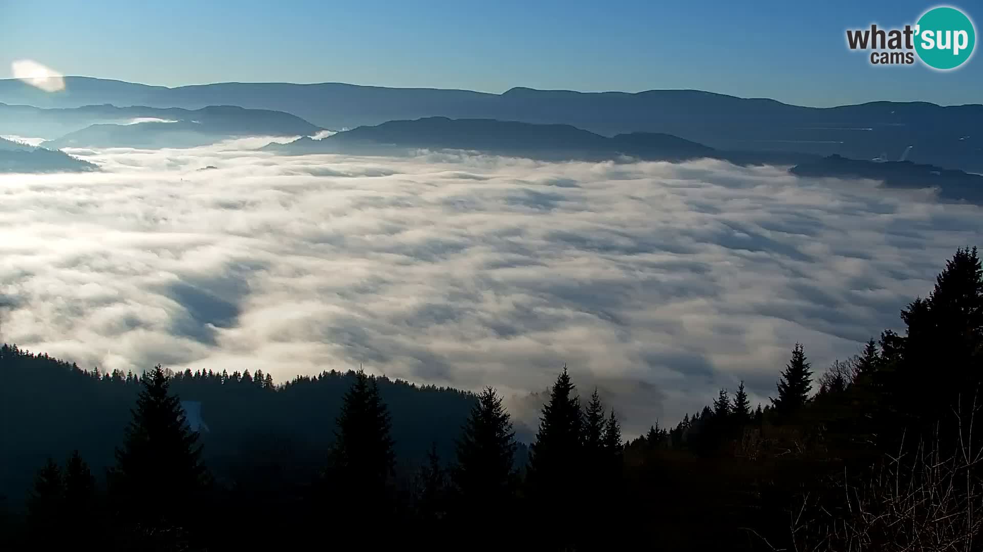 Spletna kamera Kapunar – Radlje ob Dravi