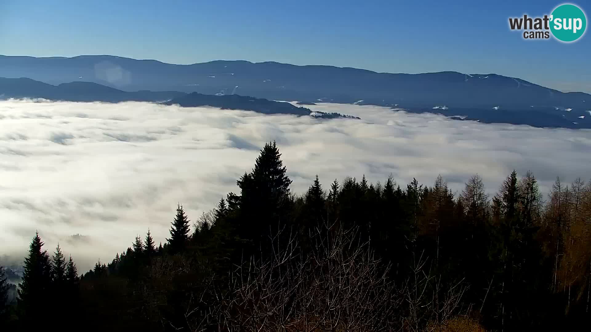 Webcam Kapunar – Radlje ob Dravi