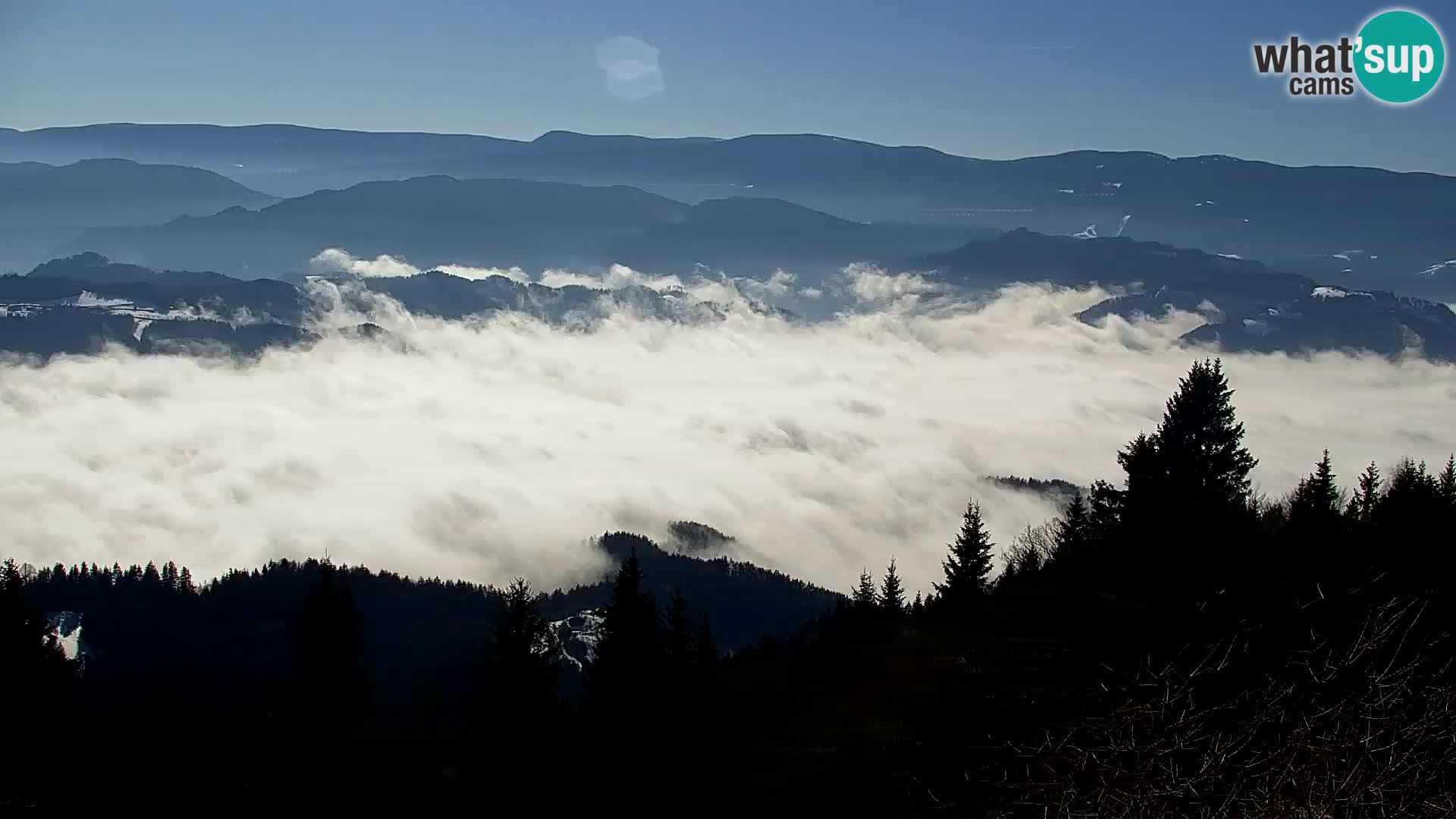 Webcam Kapunar – Radlje ob Dravi