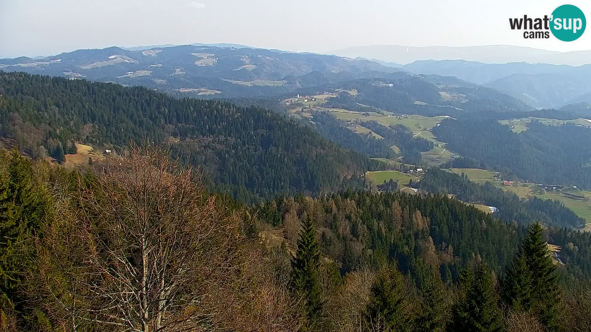 Webcam Kapunar – Radlje ob Dravi