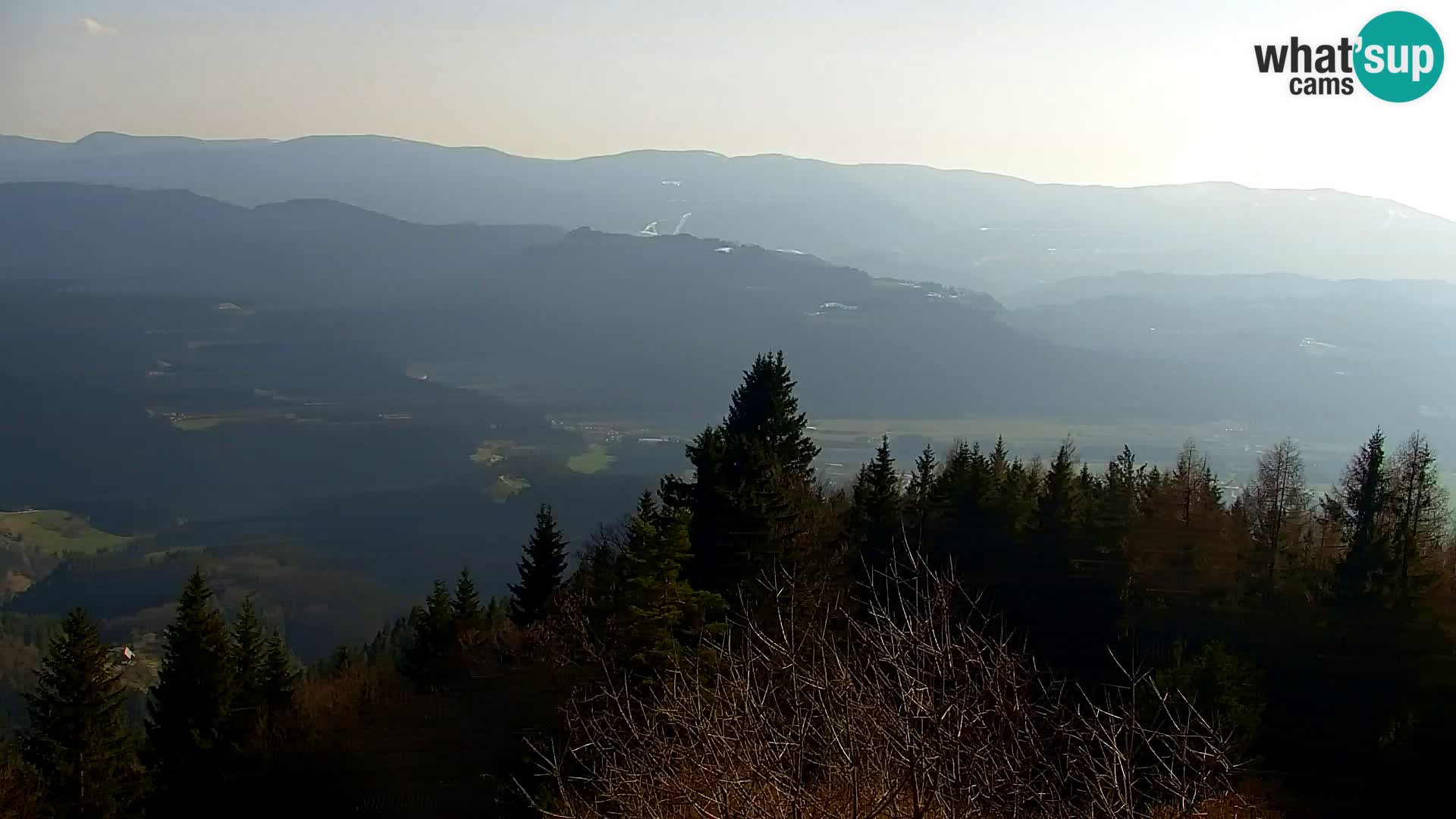 Spletna kamera Kapunar – Radlje ob Dravi