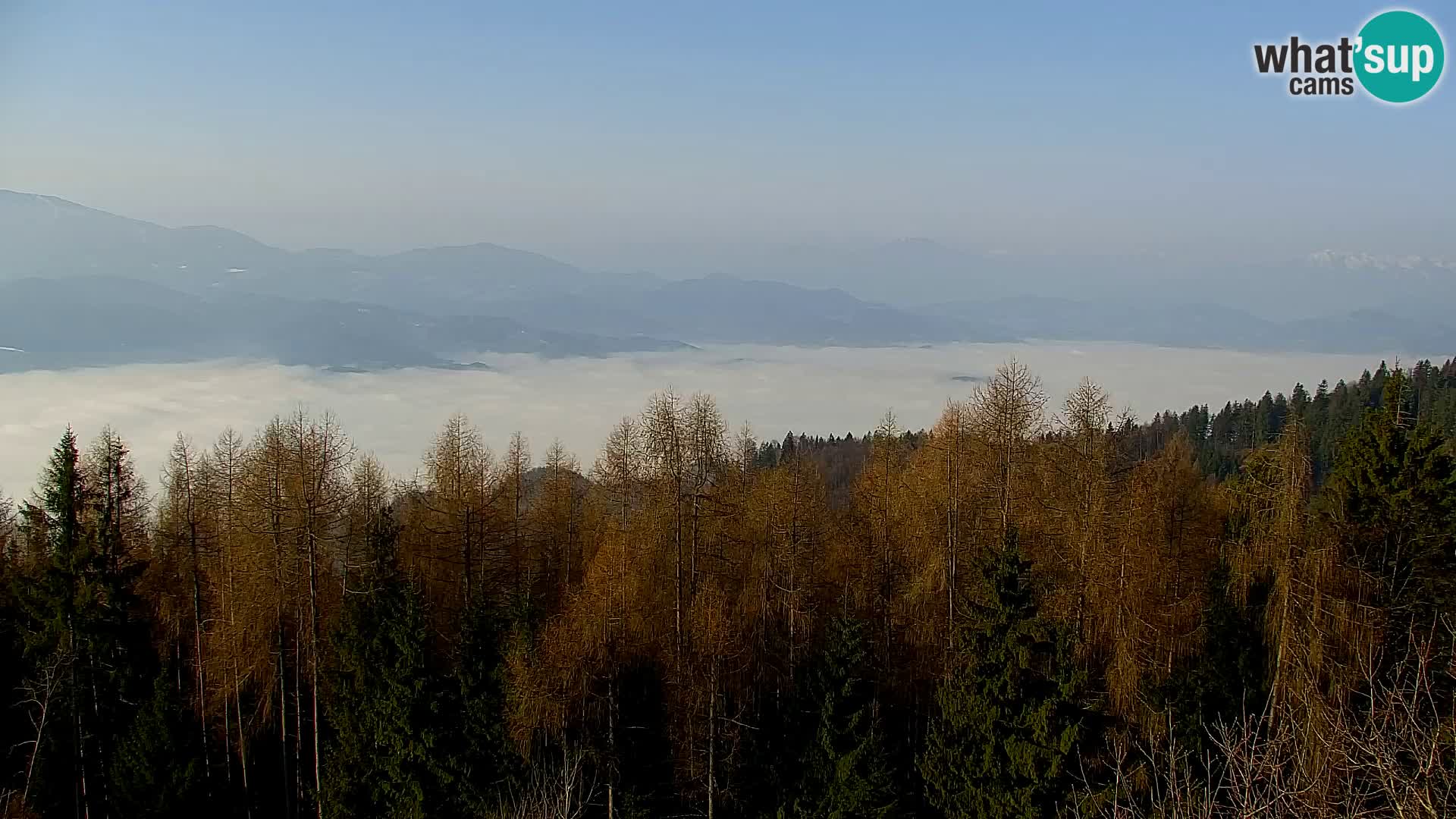 Webcam Kapunar – Radlje ob Dravi