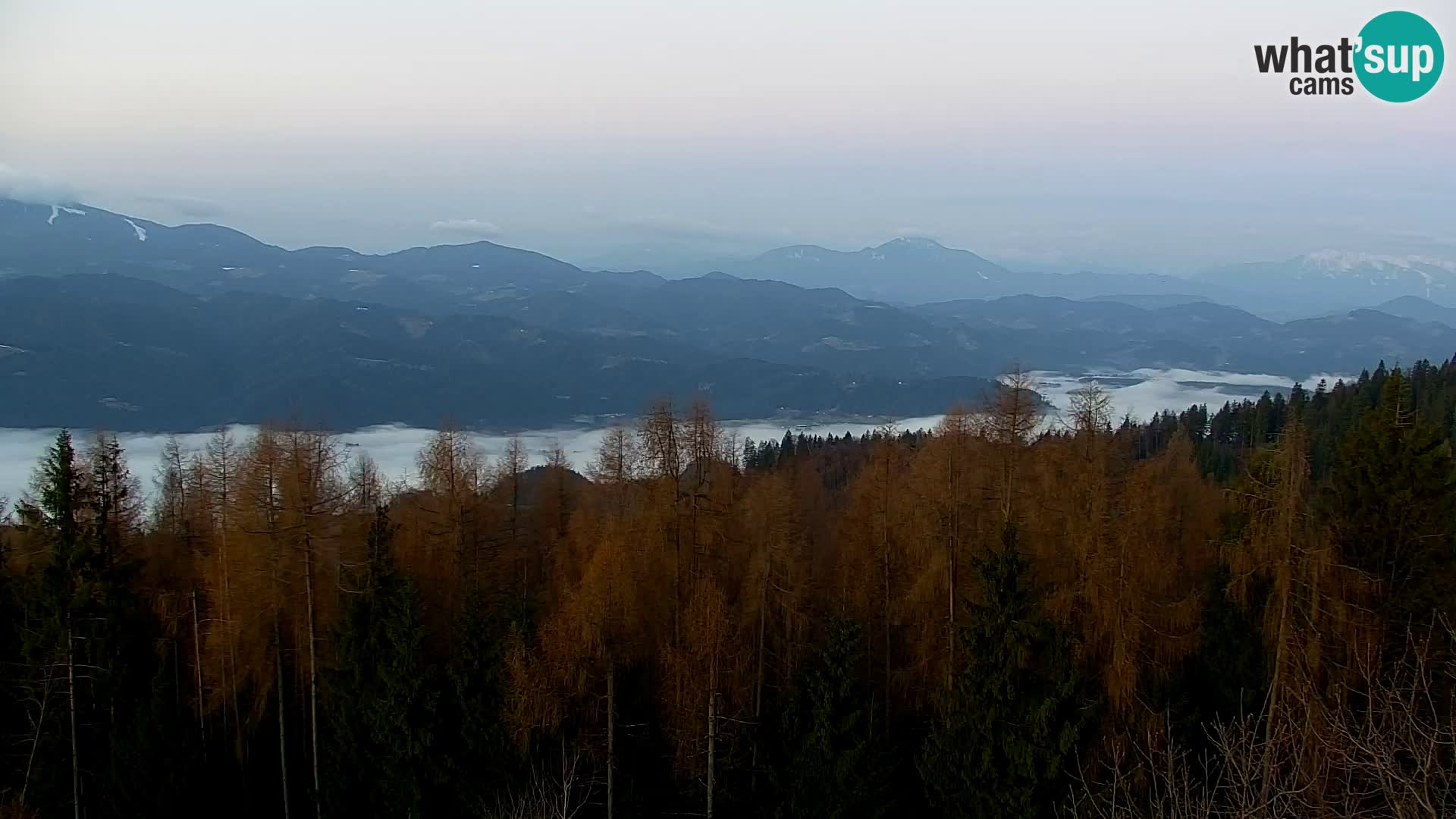 Webcam Kapunar – Radlje ob Dravi