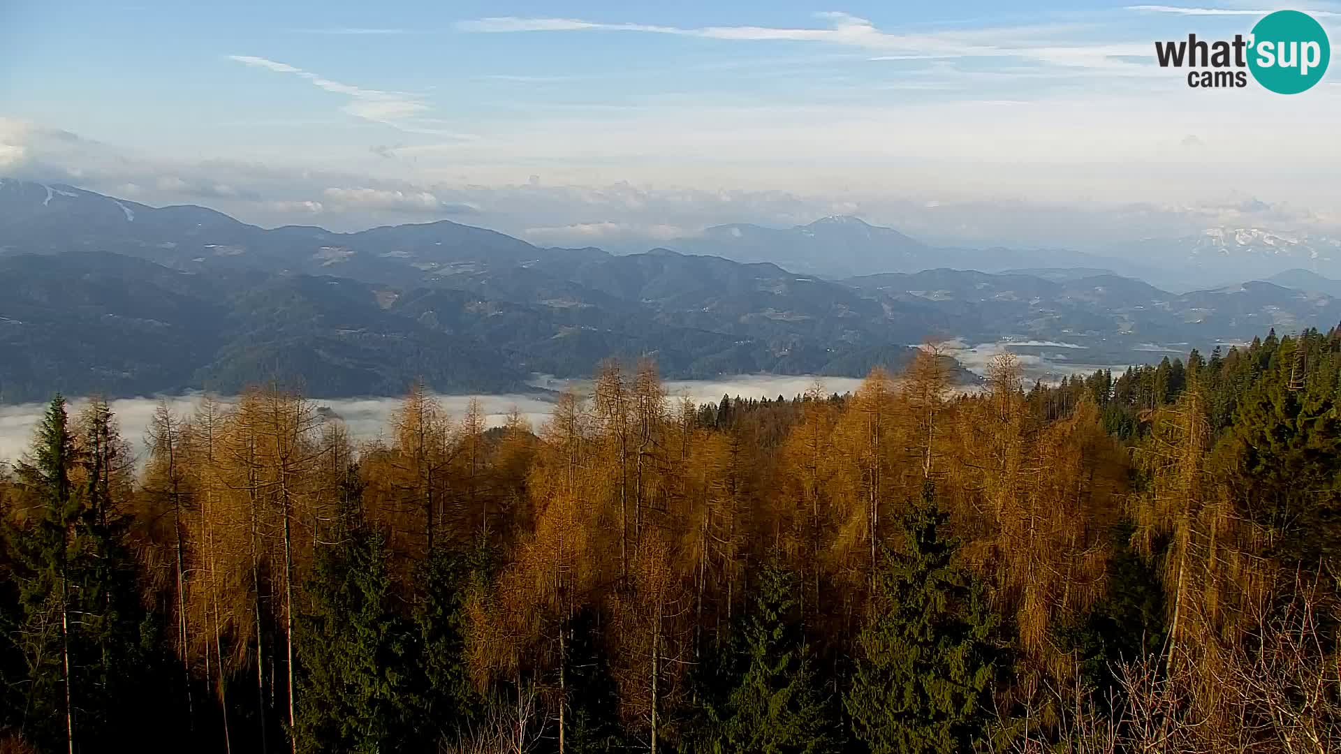 Live cam Kapunar – Radlje ob Dravi