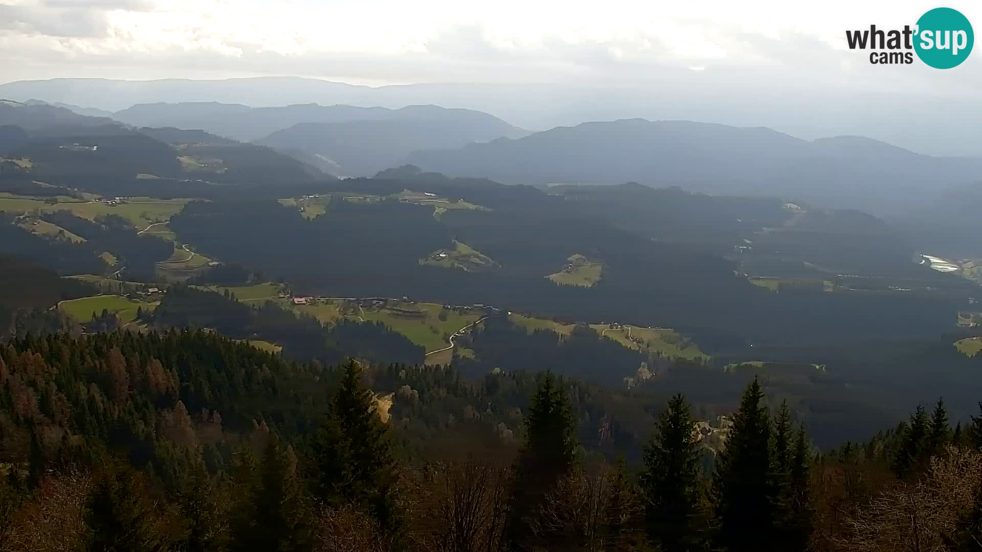 Webcam Kapunar – Radlje ob Dravi