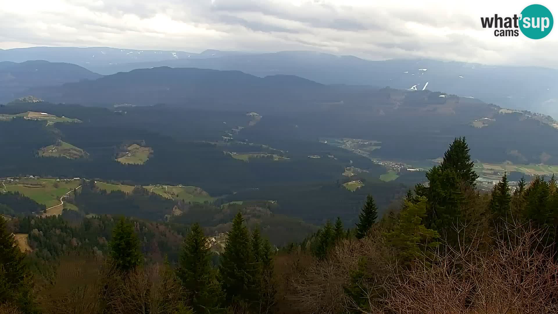 Kapunar Webcam – Radlje ob Dravi