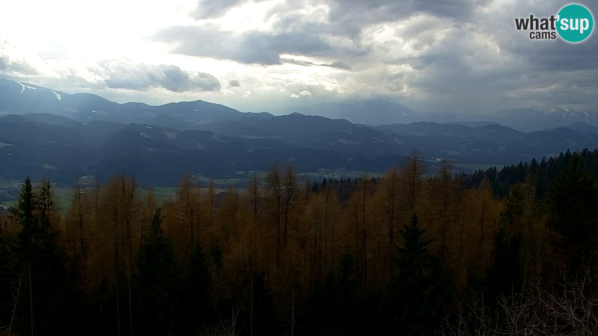 Spletna kamera Kapunar – Radlje ob Dravi