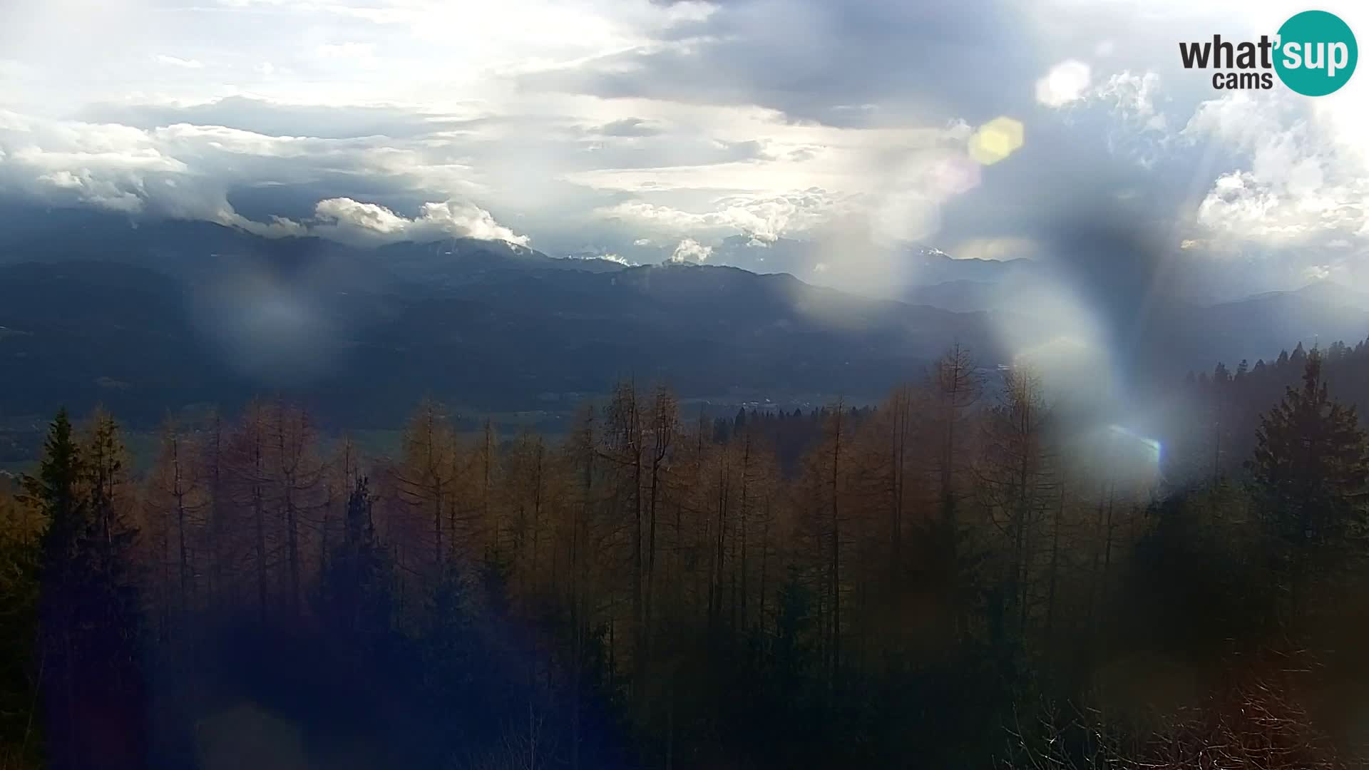 Spletna kamera Kapunar – Radlje ob Dravi