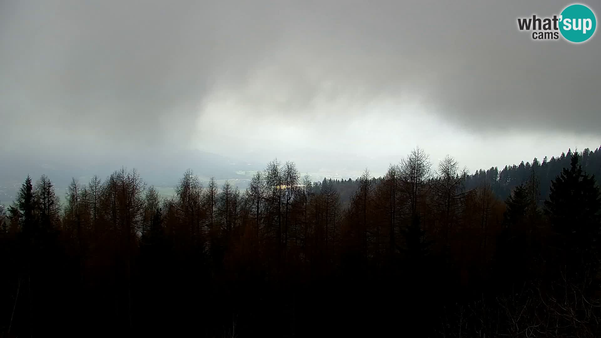 Webcam Kapunar – Radlje ob Dravi