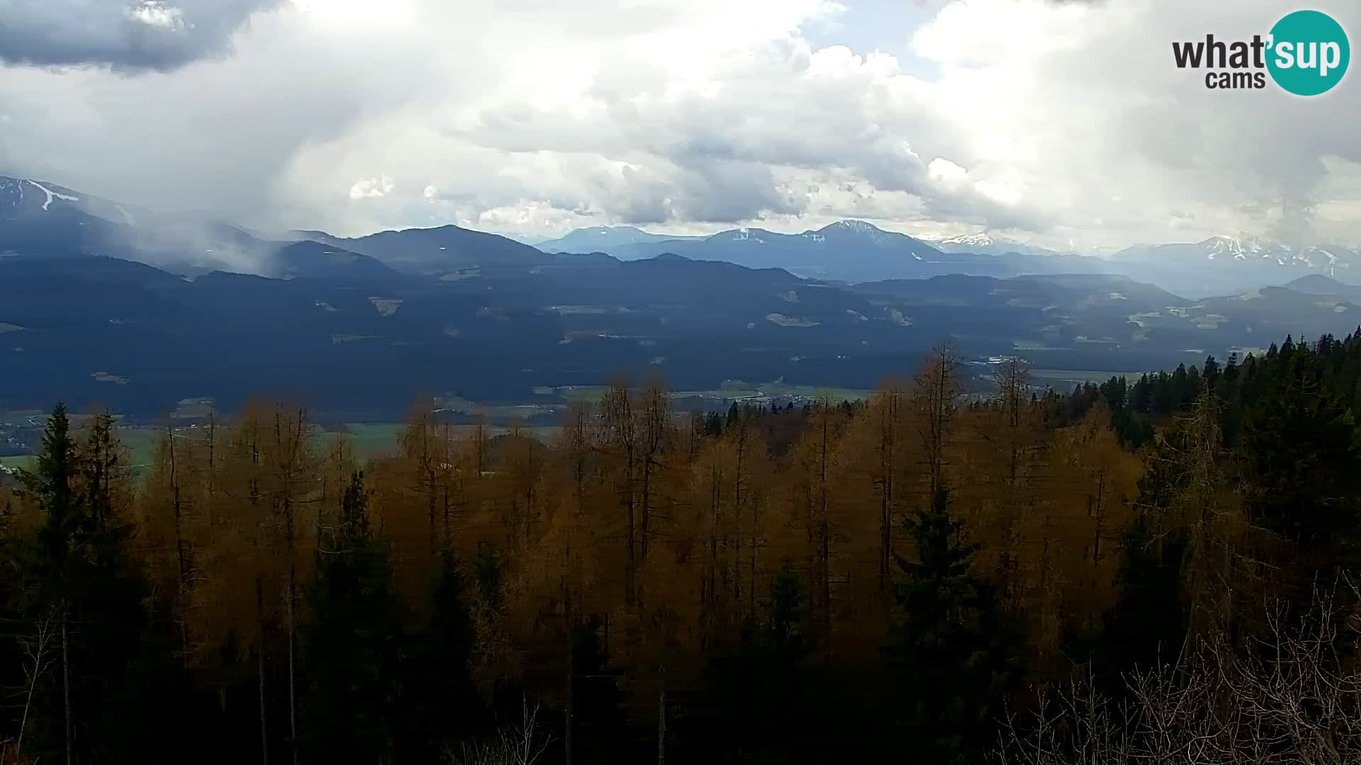 Kapunar Webcam – Radlje ob Dravi