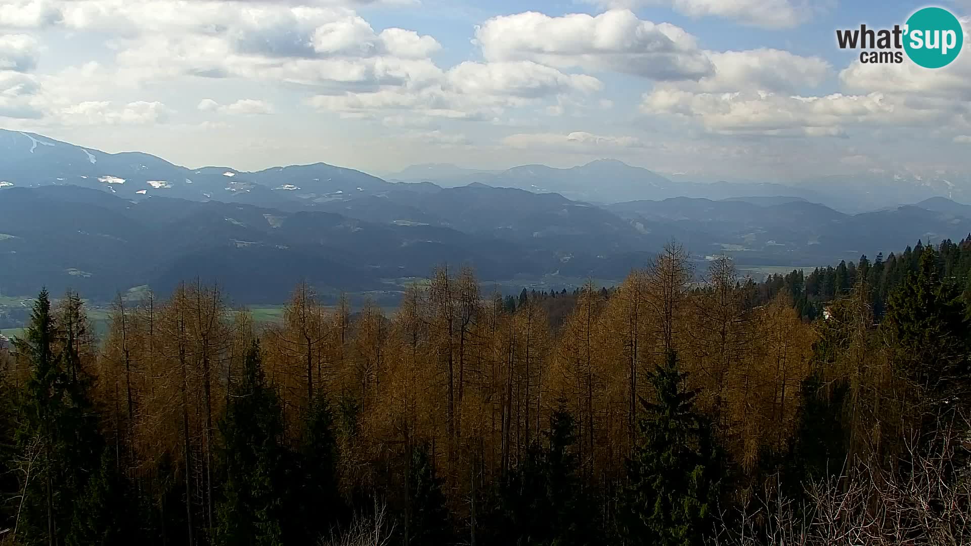 Webcam Kapunar – Radlje ob Dravi