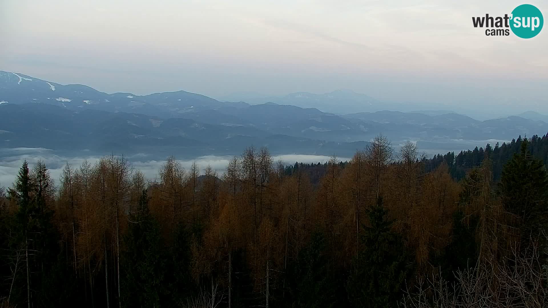 Webcam Kapunar – Radlje ob Dravi