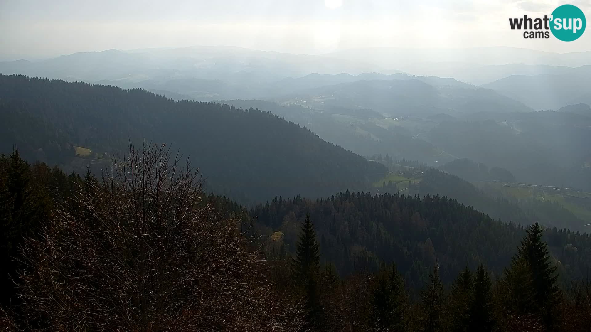 Kapunar Web kamera – Radlje ob Dravi