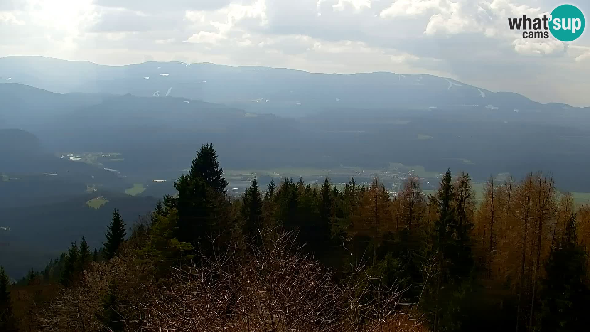 Spletna kamera Kapunar – Radlje ob Dravi