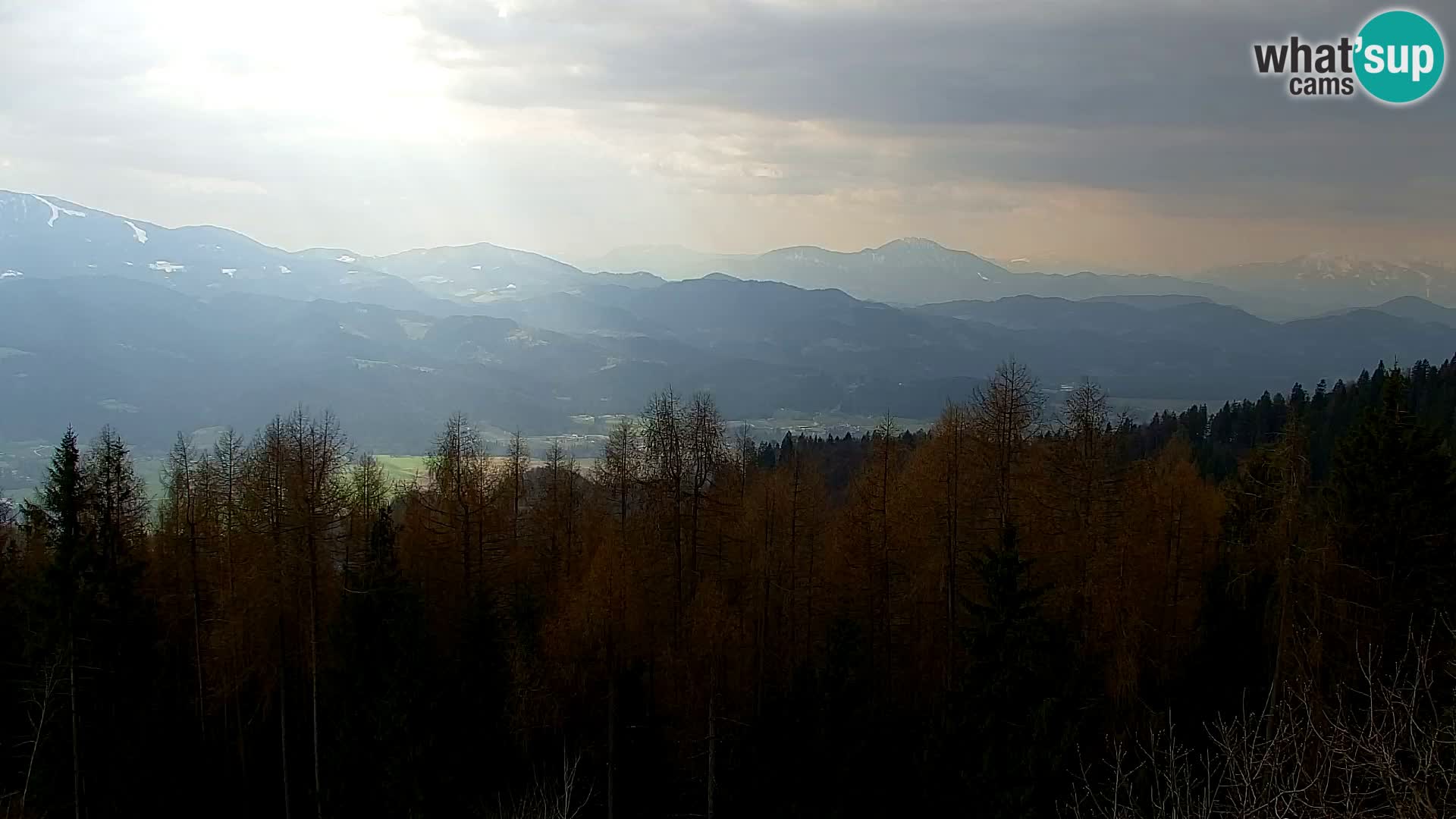 Kapunar Webcam – Radlje ob Dravi