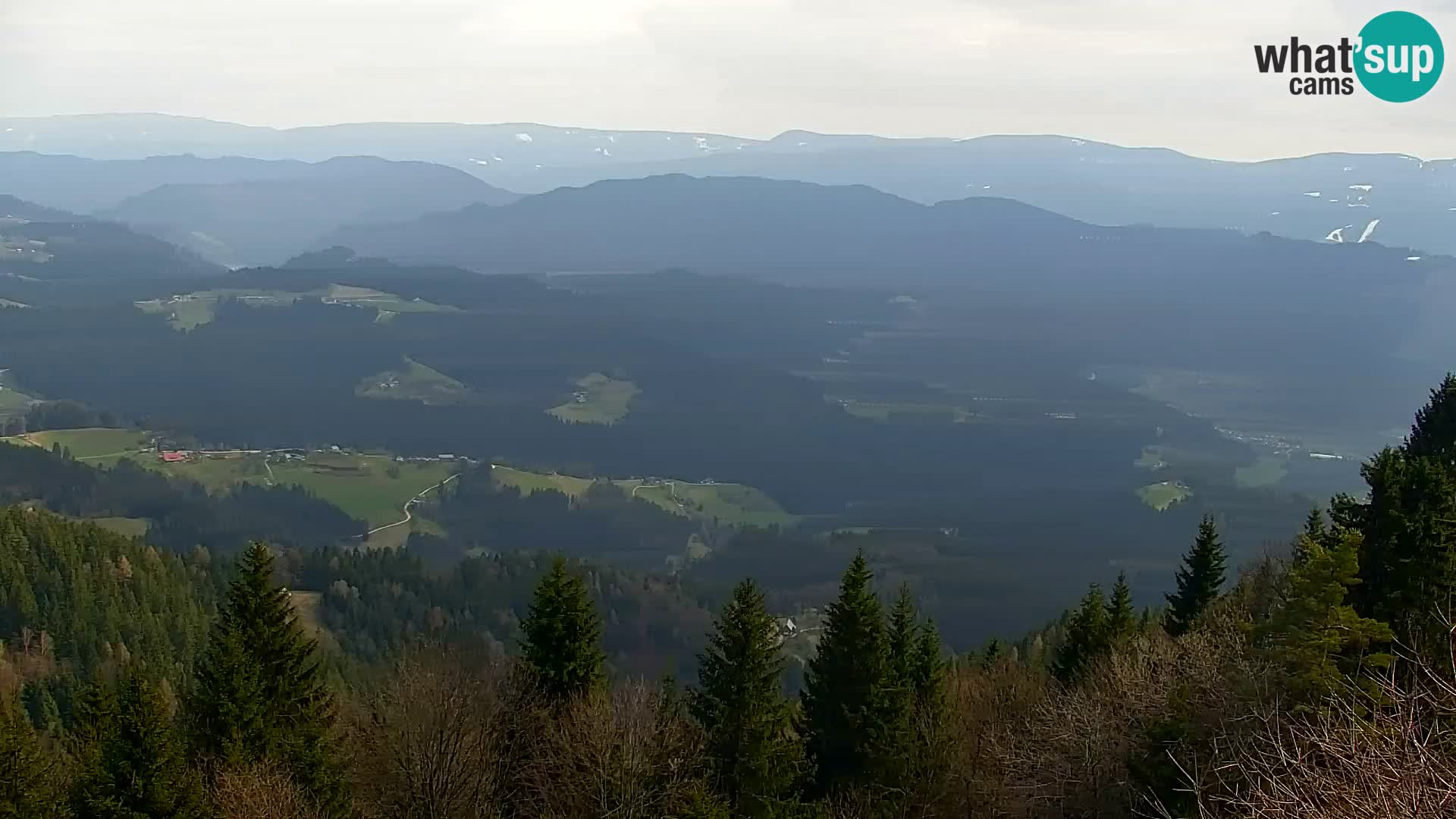 Kapunar Webcam – Radlje ob Dravi