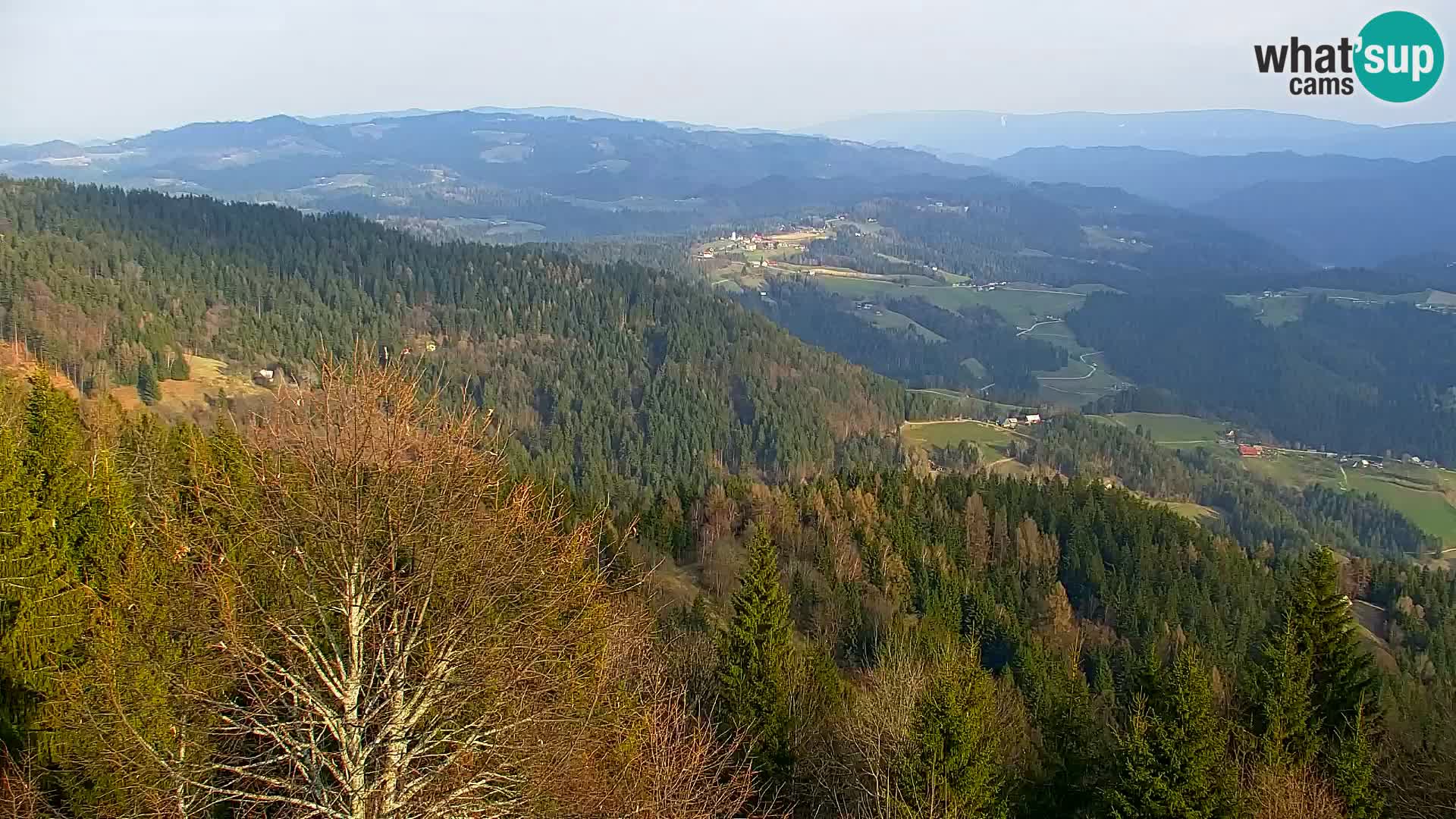 Live cam Kapunar – Radlje ob Dravi