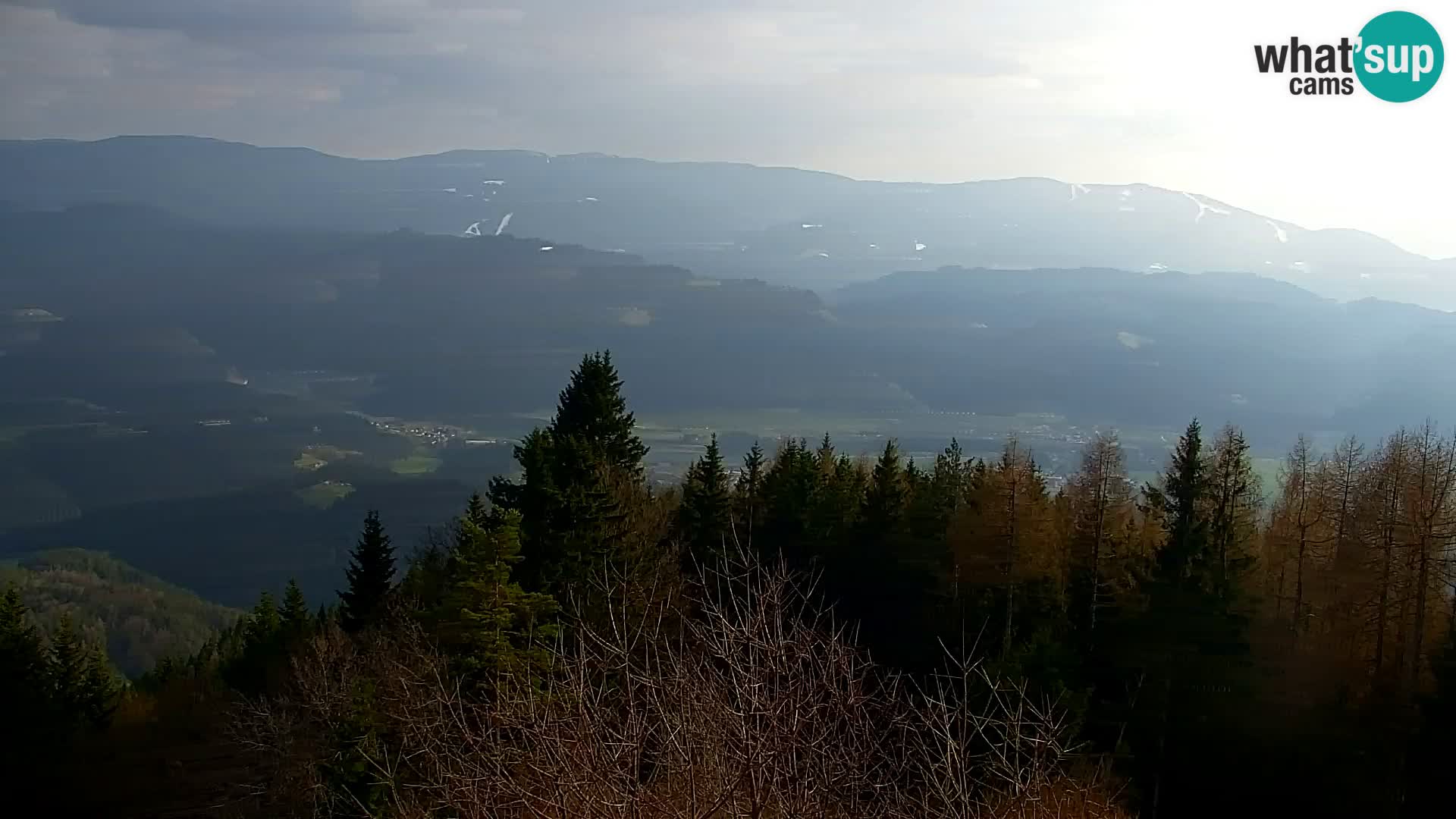 Kapunar Webcam – Radlje ob Dravi