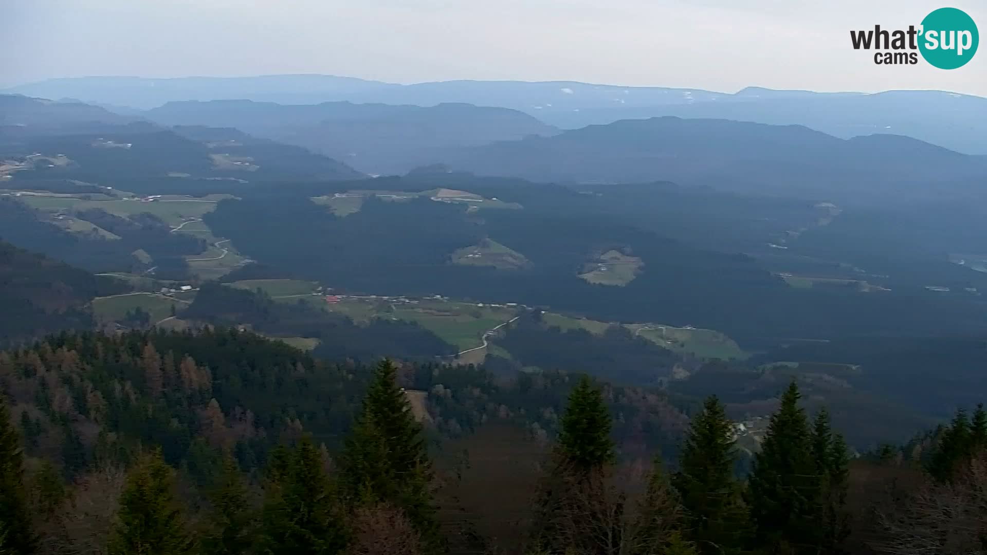 Spletna kamera Kapunar – Radlje ob Dravi