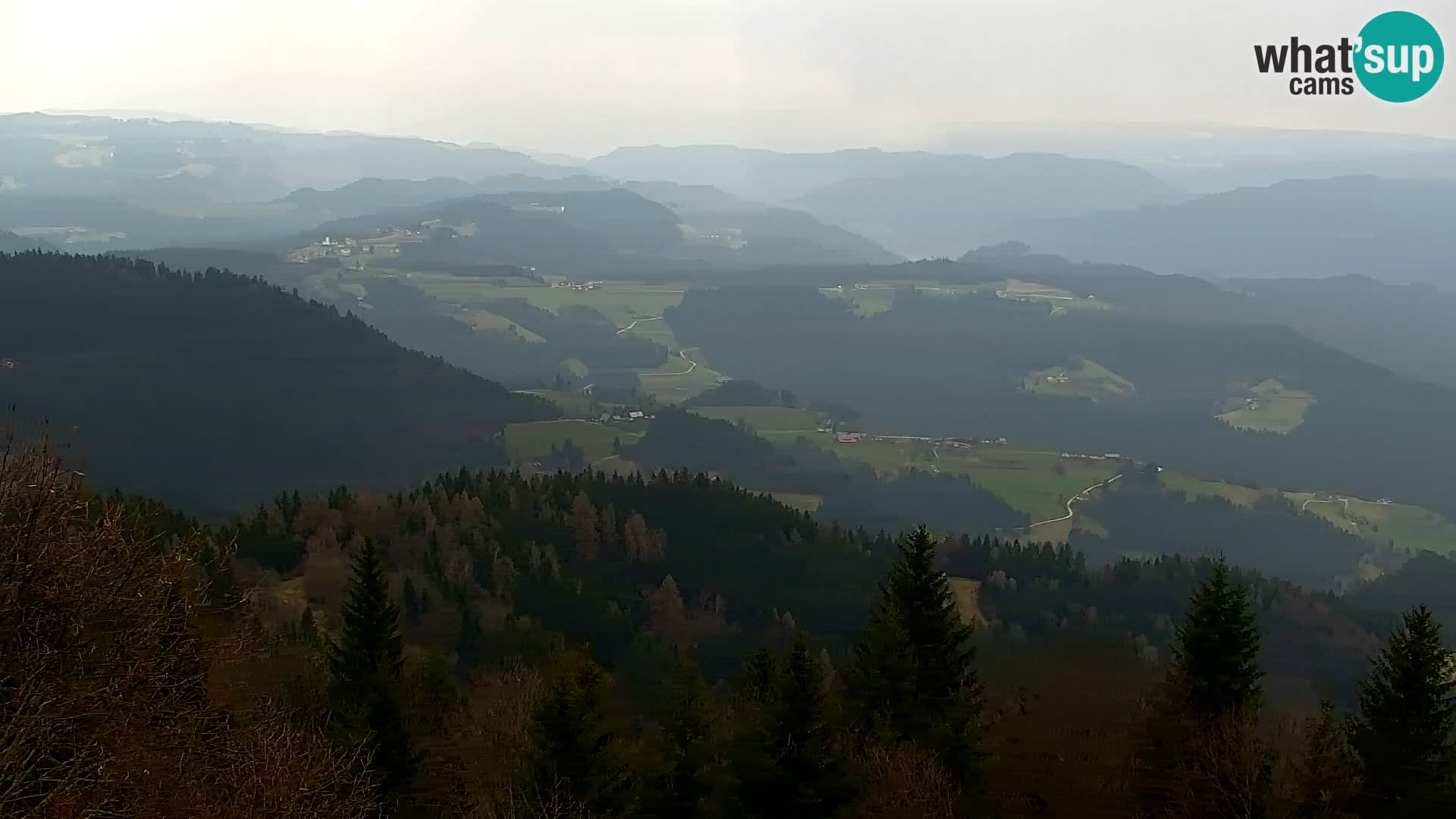 Spletna kamera Kapunar – Radlje ob Dravi