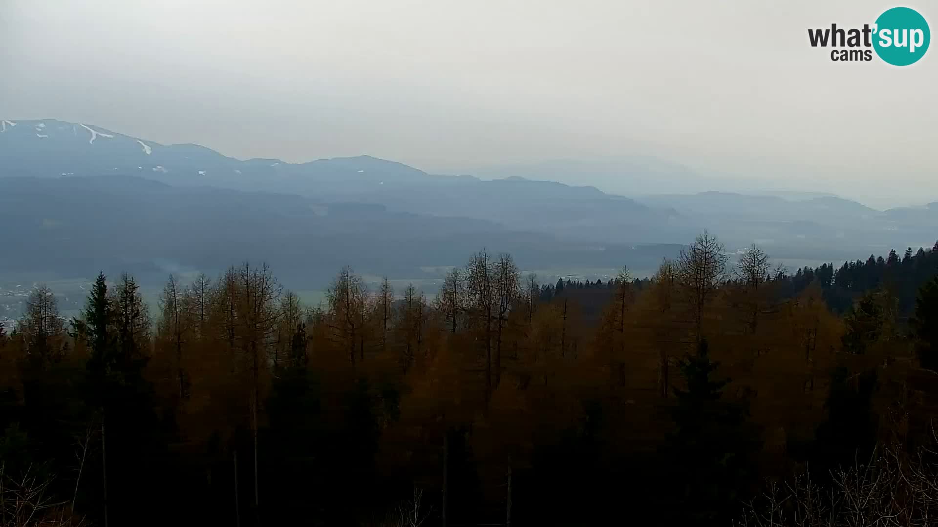 Webcam Kapunar – Radlje ob Dravi