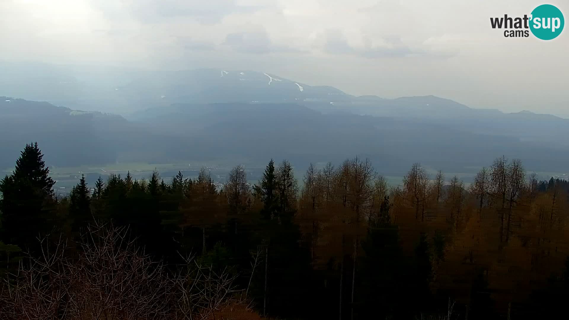 Kapunar Webcam – Radlje ob Dravi