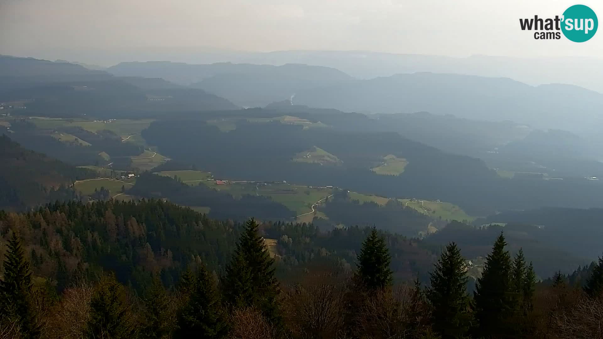 Spletna kamera Kapunar – Radlje ob Dravi