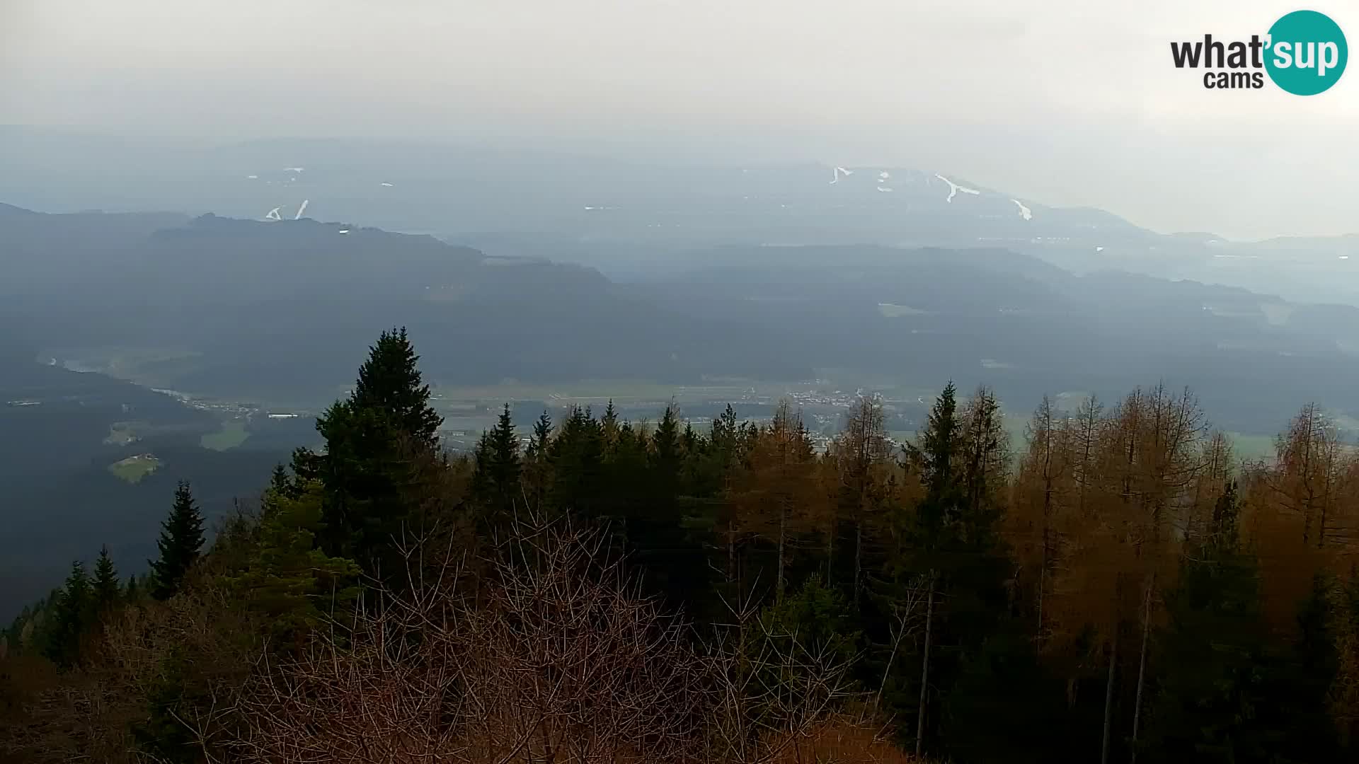 Spletna kamera Kapunar – Radlje ob Dravi