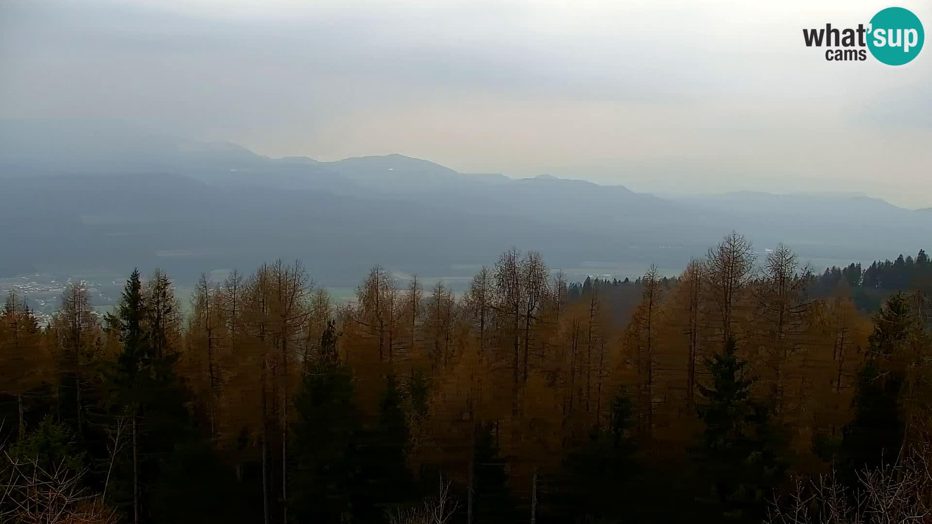 Webcam Kapunar – Radlje ob Dravi