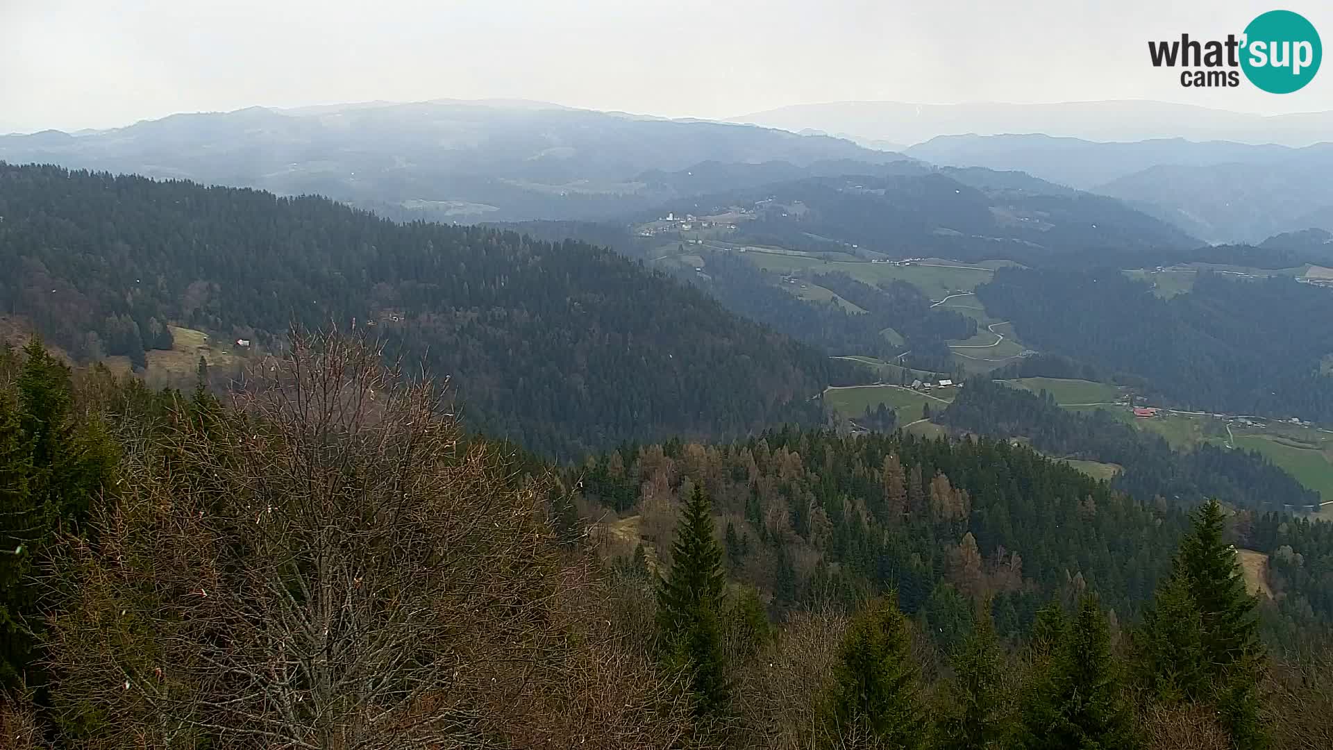 Webcam Kapunar – Radlje ob Dravi