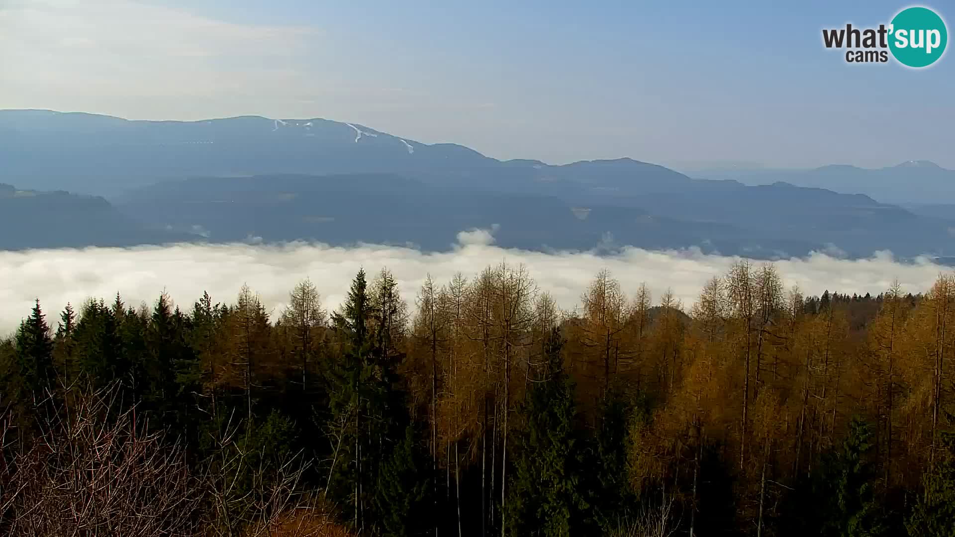 Kapunar Web kamera – Radlje ob Dravi