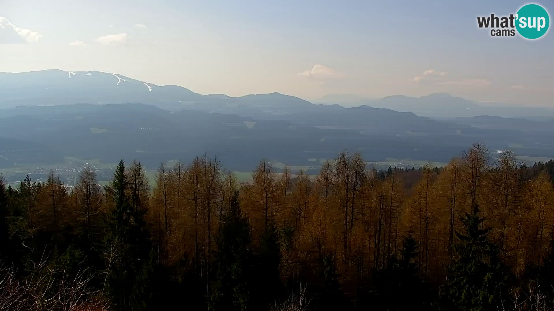 Kapunar Web kamera – Radlje ob Dravi