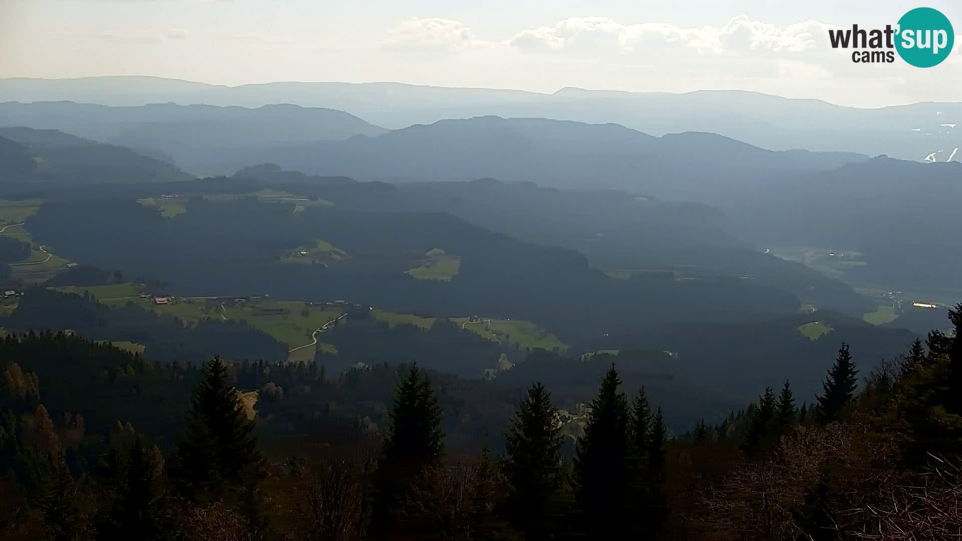 Spletna kamera Kapunar – Radlje ob Dravi