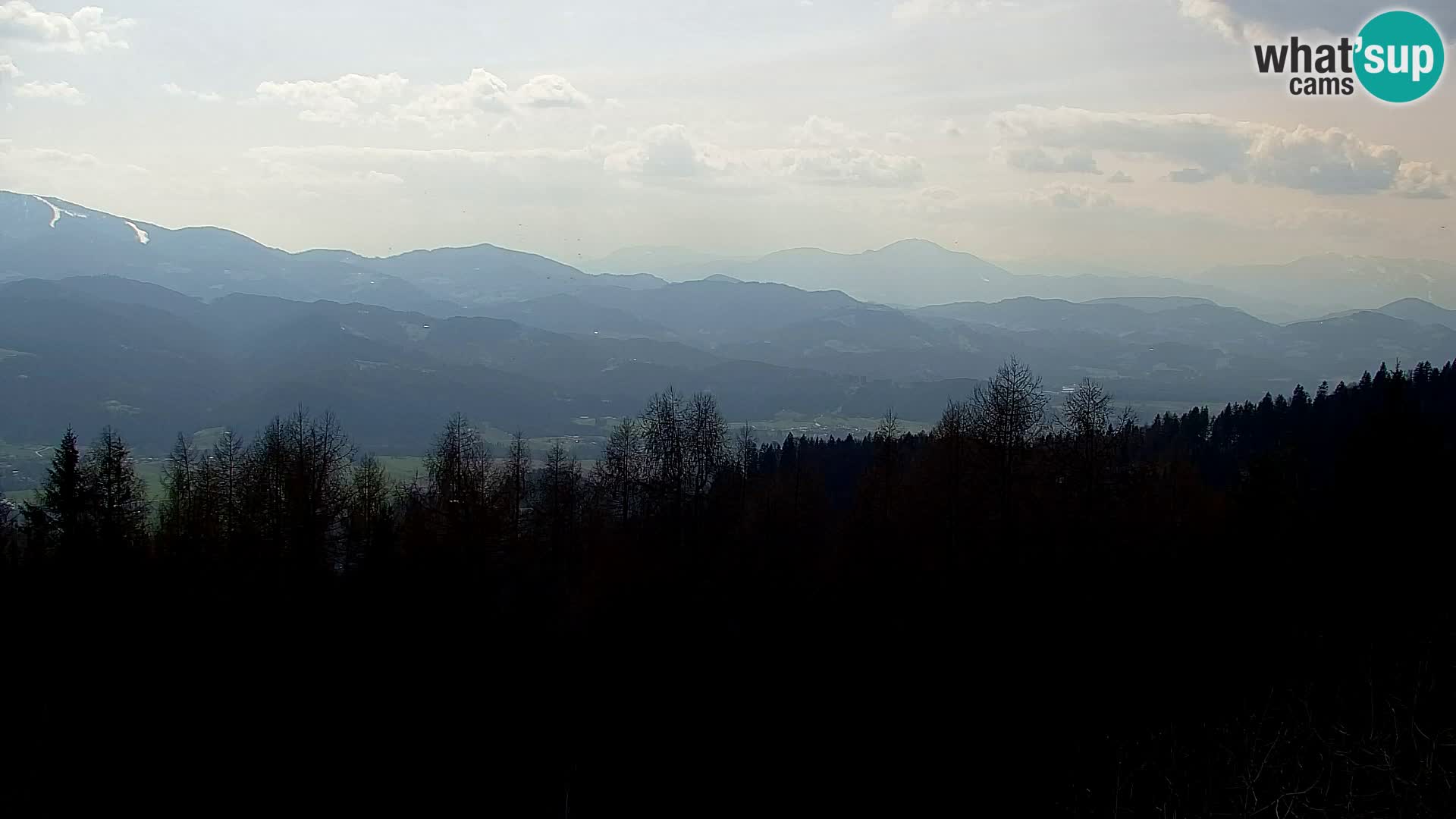 Spletna kamera Kapunar – Radlje ob Dravi