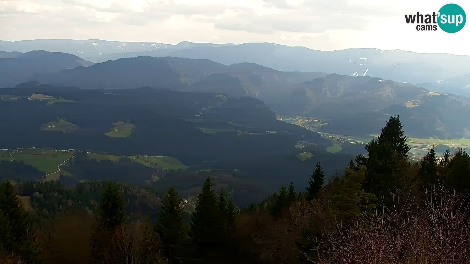 Spletna kamera Kapunar – Radlje ob Dravi