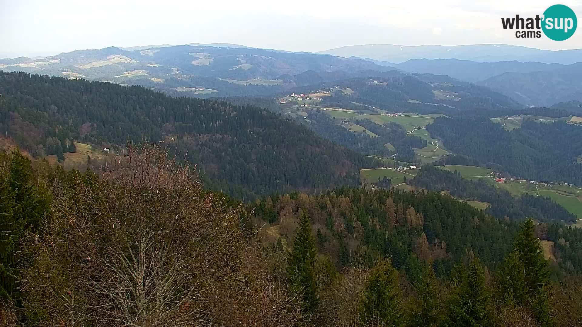 Spletna kamera Kapunar – Radlje ob Dravi