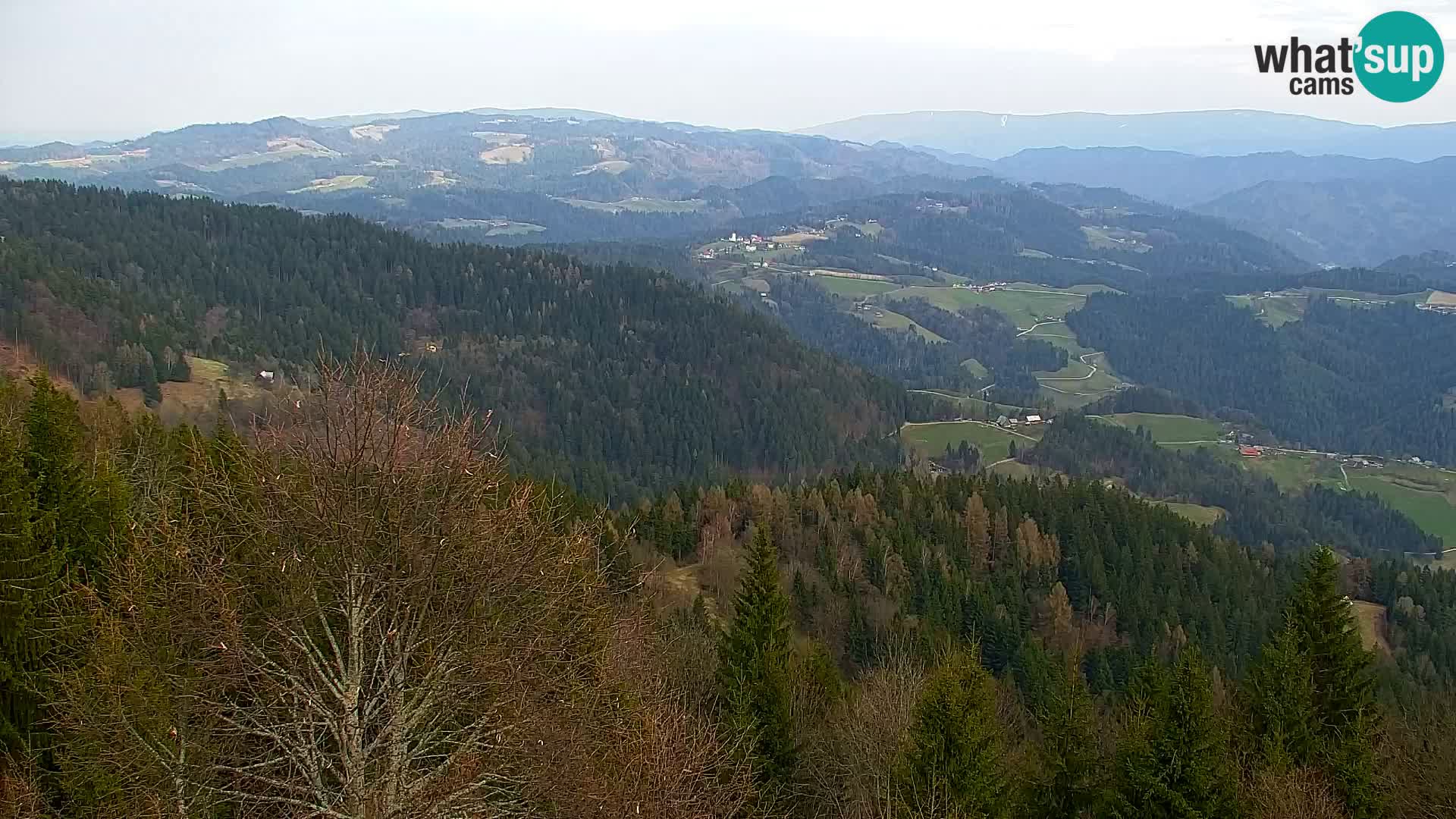 Kapunar Webcam – Radlje ob Dravi