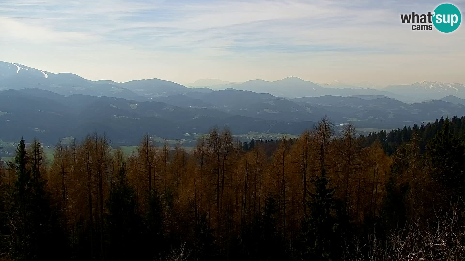 Kapunar Webcam – Radlje ob Dravi