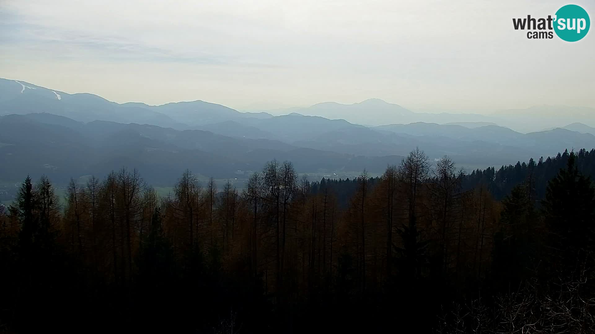 Spletna kamera Kapunar – Radlje ob Dravi