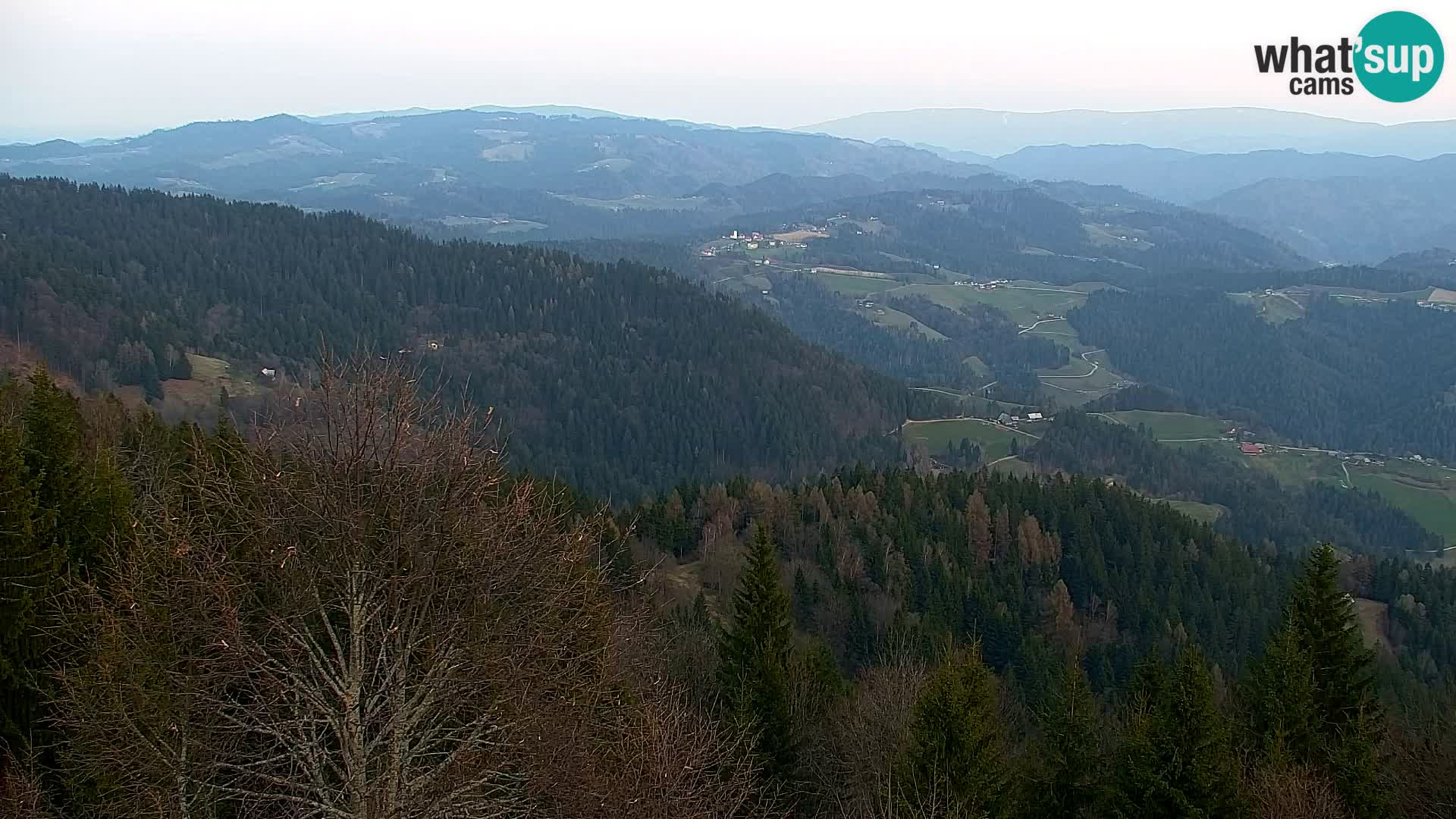 Spletna kamera Kapunar – Radlje ob Dravi