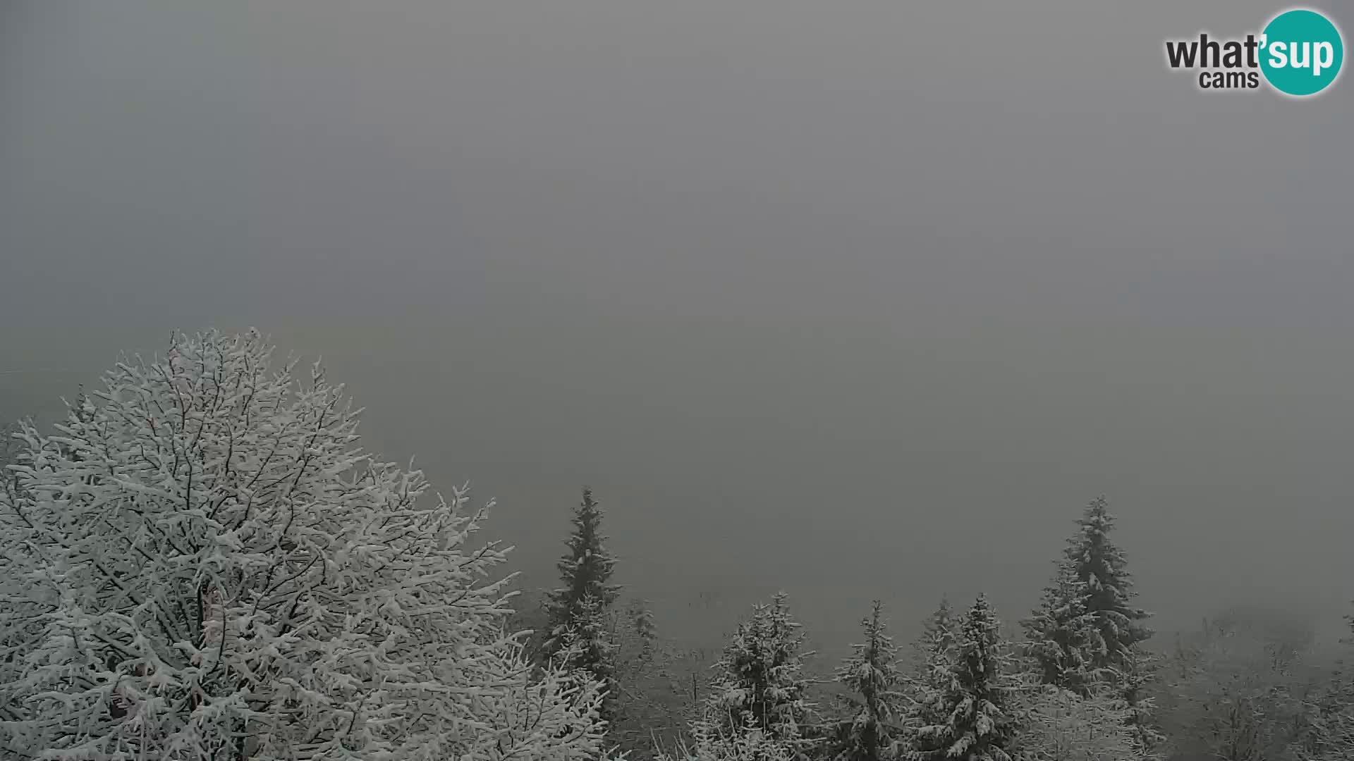 Webcam Kapunar – Radlje ob Dravi