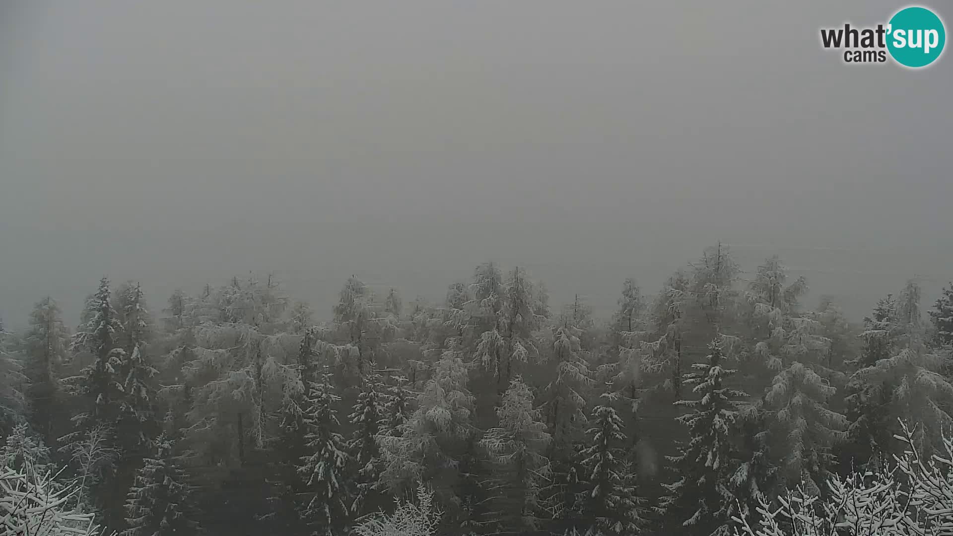 Kapunar Webcam – Radlje ob Dravi