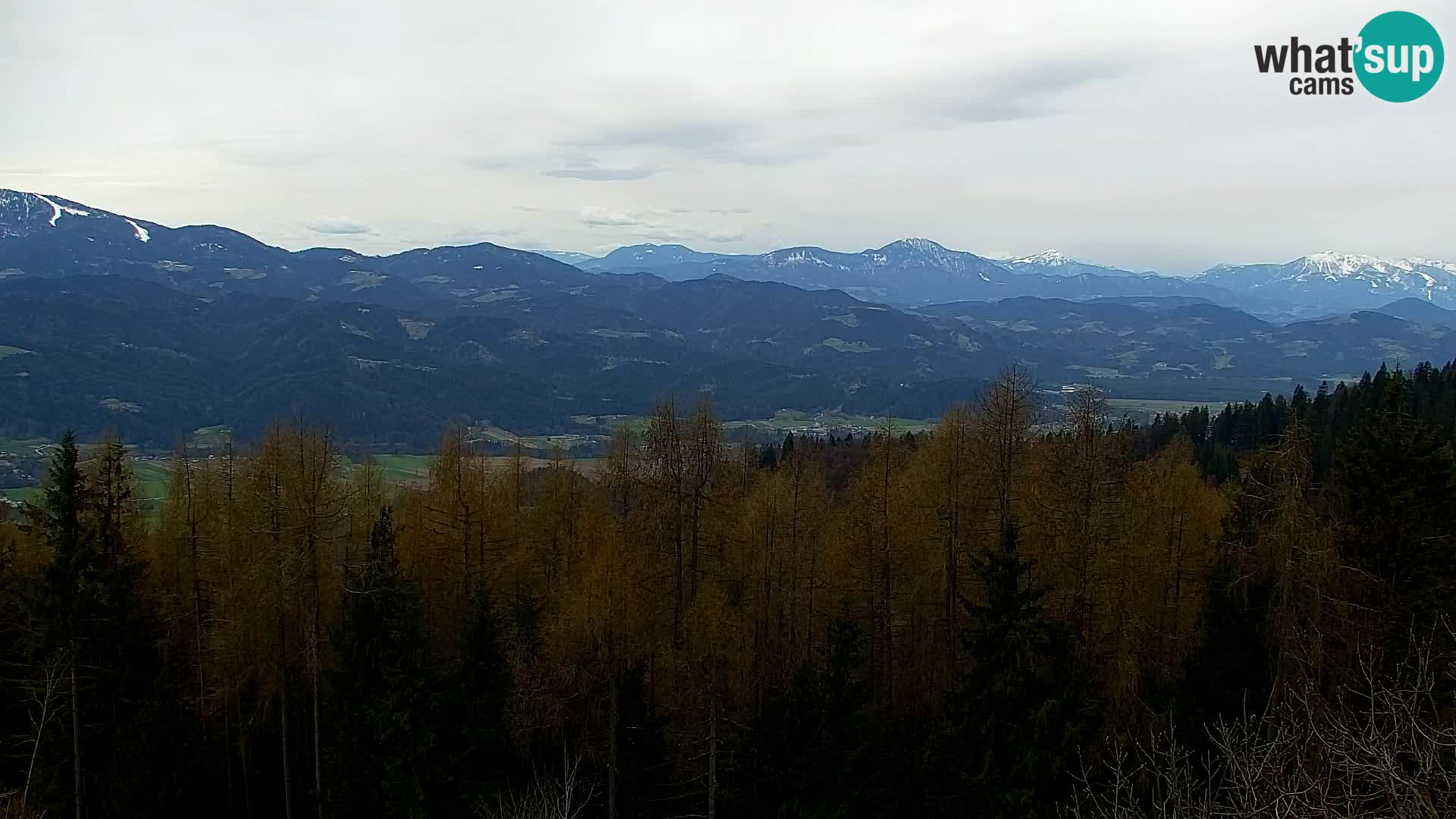 Spletna kamera Kapunar – Radlje ob Dravi